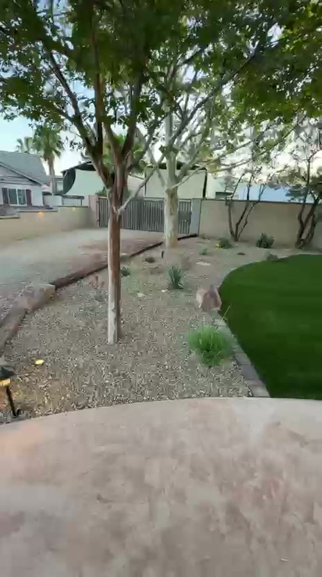 Desert backyard with turf lawn, boulders, and shade trees