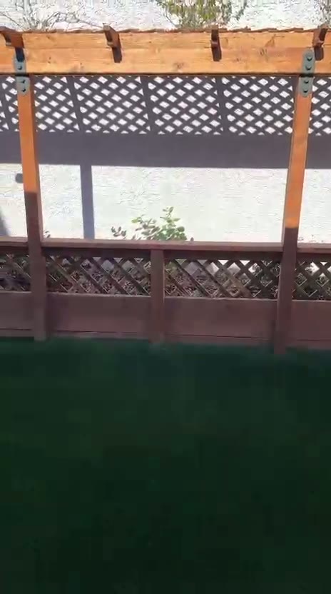 Shaded pergola over an artificial turf backyard